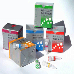 A-Sofast® D(zhun)Ⱦԇ